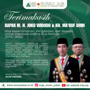 %GP ANSOR %Palas